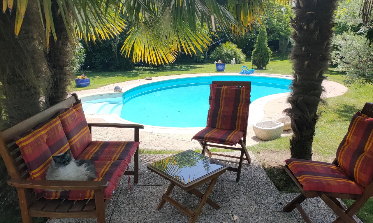schwimmbad mit schwimmbad, terrasse, und rasen