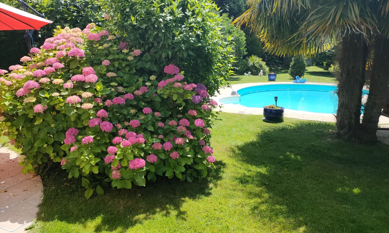 schwimmbad mit rasen, schwimmbad, und from property