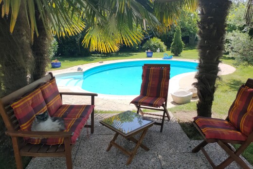 piscine avec piscine, terrasse, et pelouse