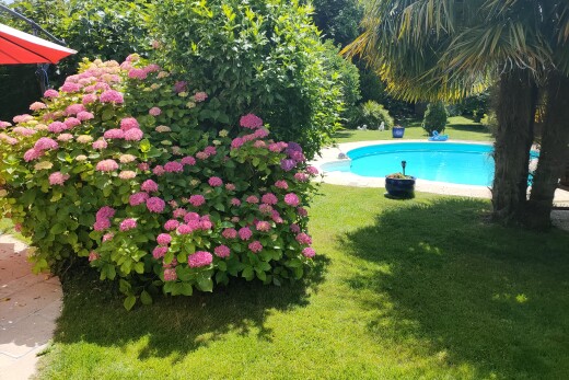 outdoor pool featuring a lawn