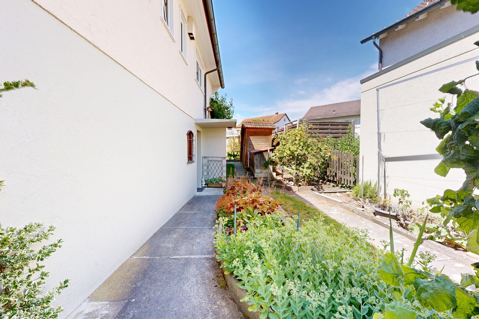 garten mit day time und zaun