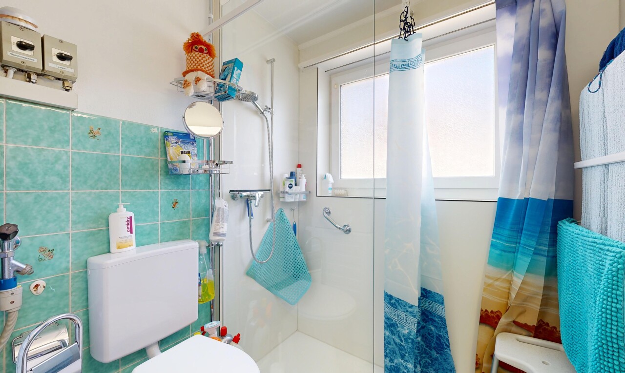 bad mit toilette, dusche, komplettes badezimmer, tile wall, und fliesenwand