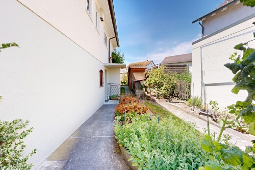 garten mit day time und zaun