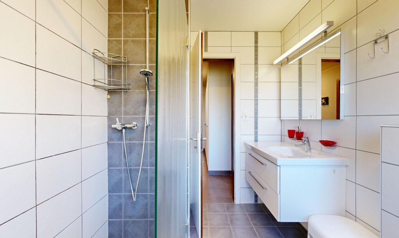 bad mit dusche, schminktisch, komplettes badezimmer, spiegel, und fliesenwand