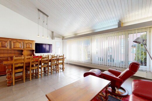 salon / salle à manger avec plafond voûté, vaulted ceiling, plafond en bois, wood ceiling, et télévision