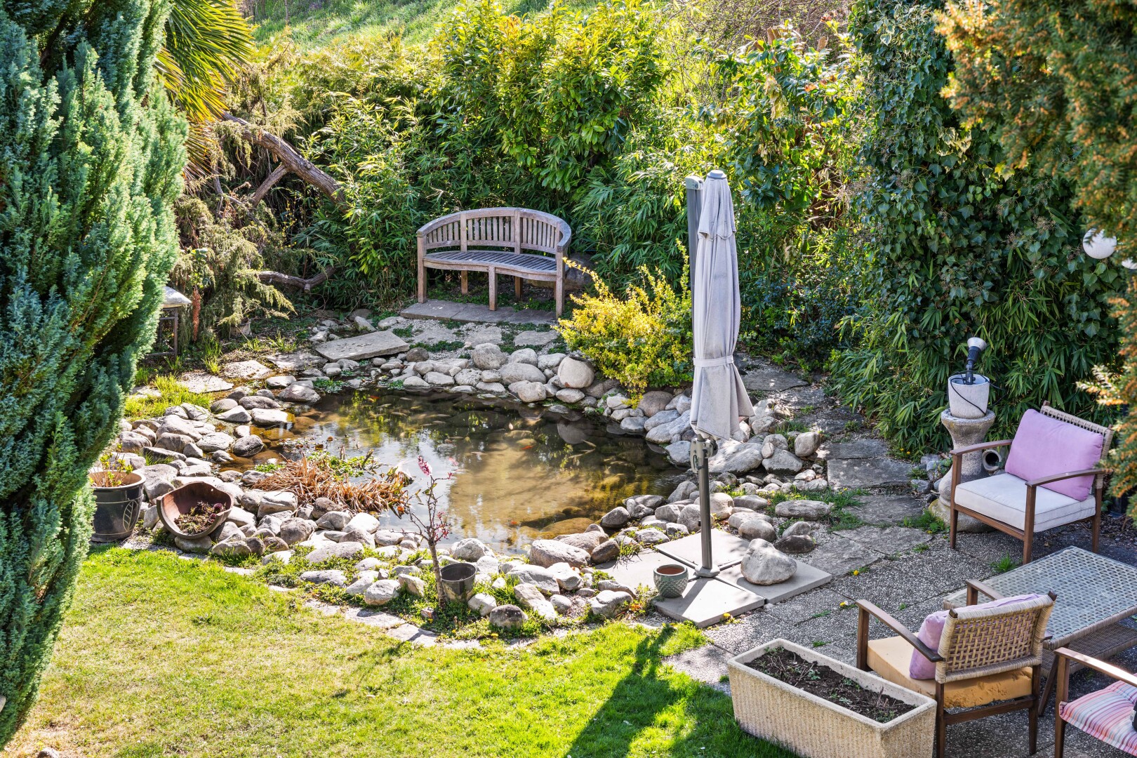 garten mit garten teich, garden pond, terrasse, und from property