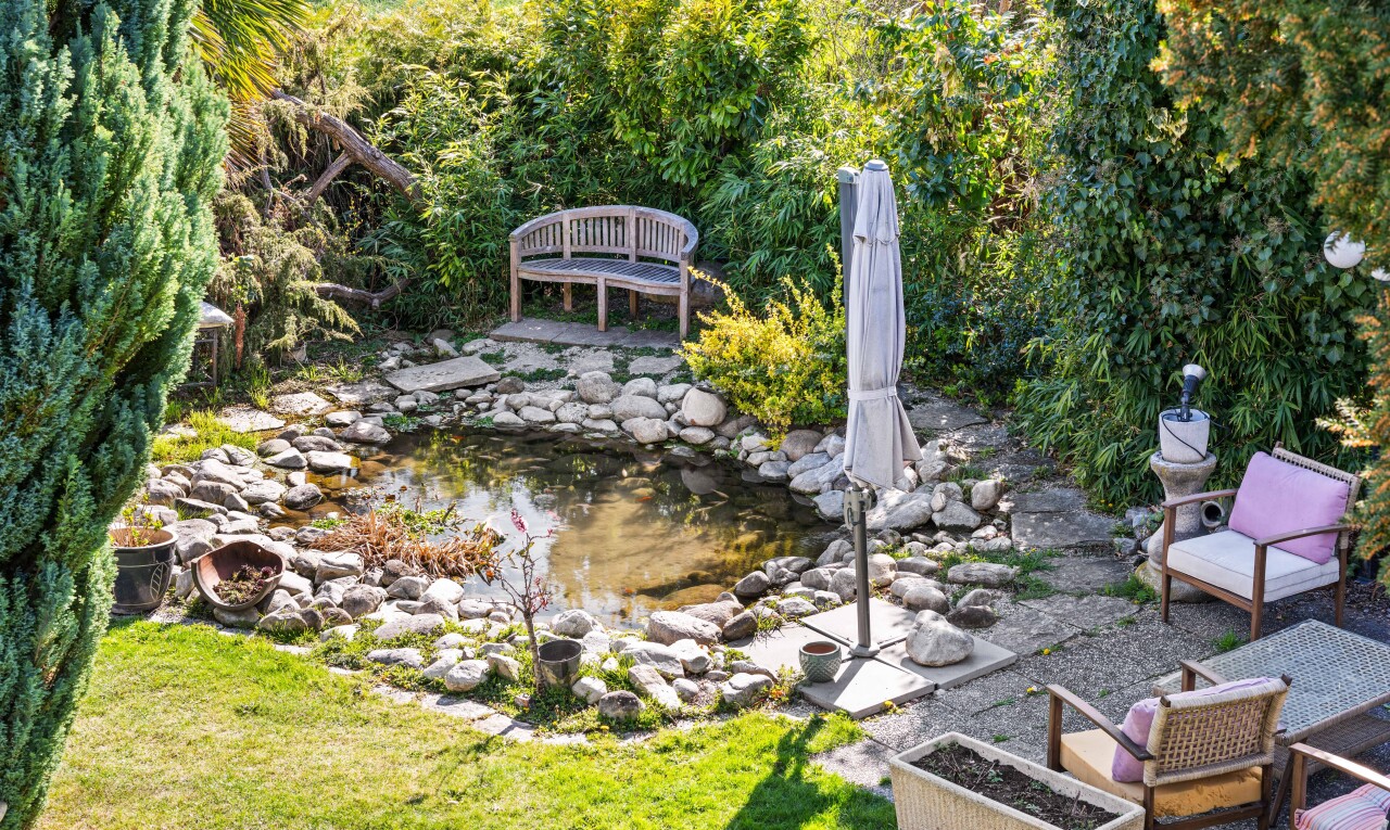jardin avec étang de jardin, garden pond, terrasse, et from property