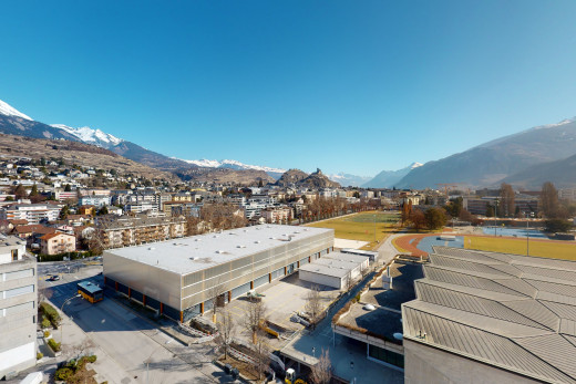 vögel augensicht des eigentums