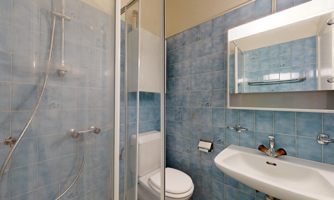 salle de bains avec miroir, douche, mur en carrelage, tile wall, et salle de bain complète