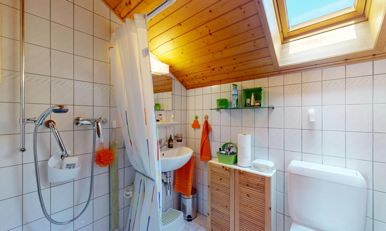 bad mit inside property, fliesenwand, tile wall, dachfenster, und holzdecke