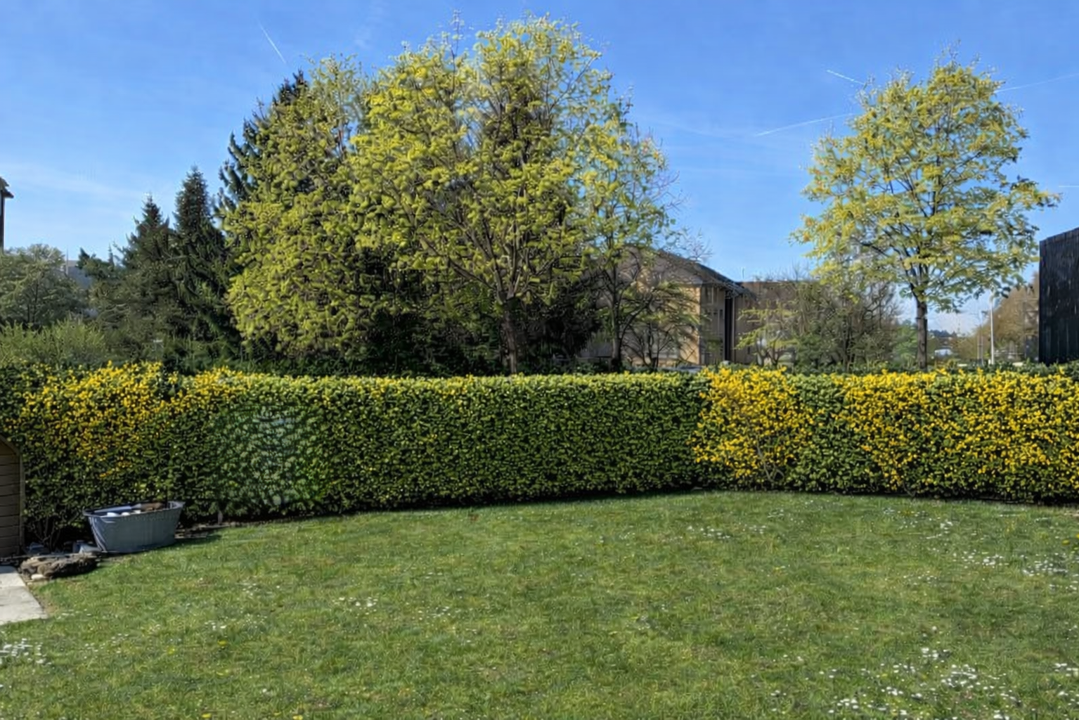 garten mit rasen, day time, und zaun