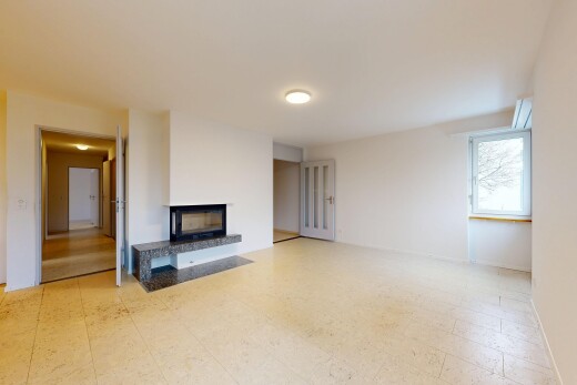 pièce vide avec cheminée, cloison sèche, drywall, sol en vinyle, et vinyl floor