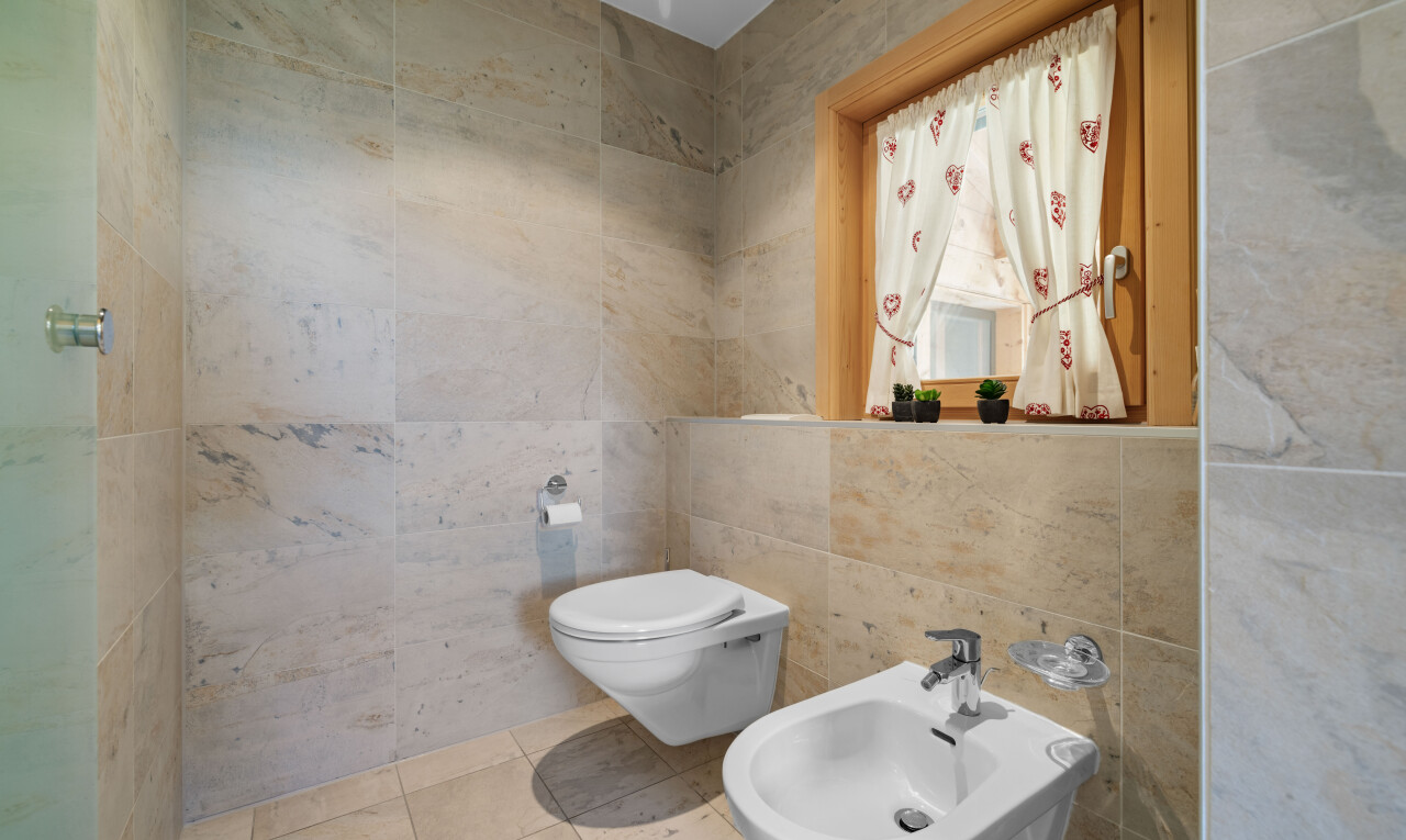 salle de bains avec tile wall, mur en carrelage, bidet, natural light, et lumière naturelle