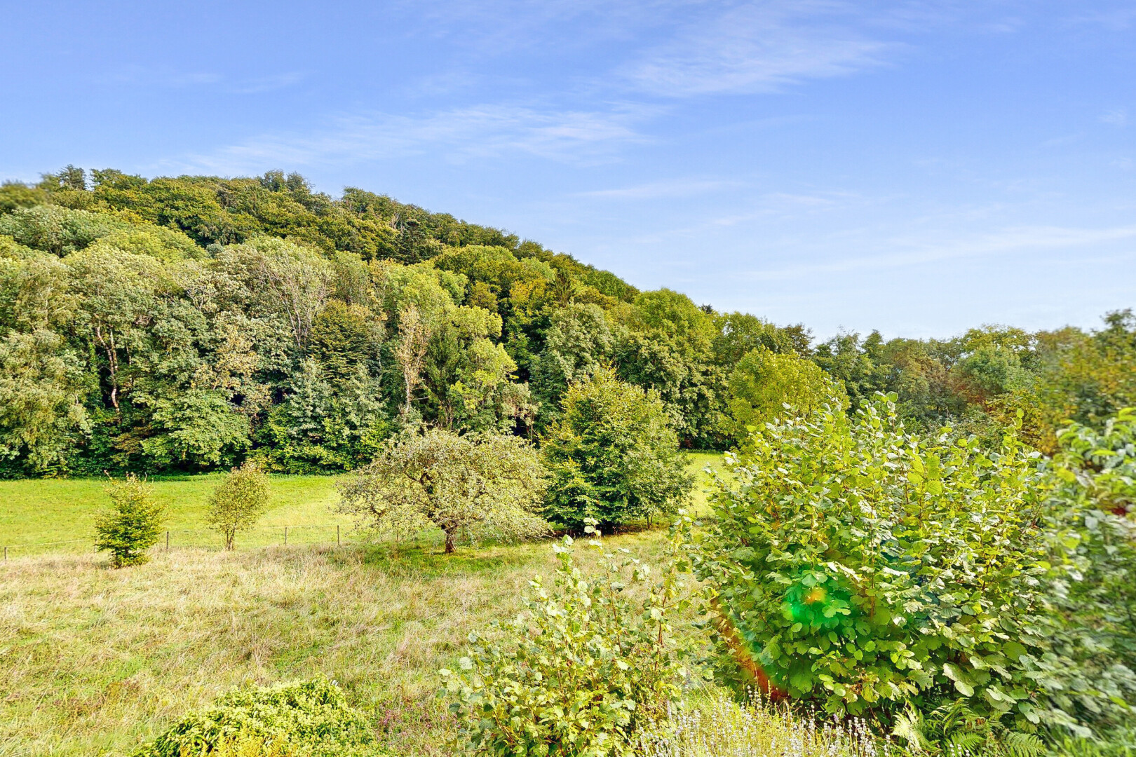 vue sur la montagne avec day time, forest view, et vue sur la forêt