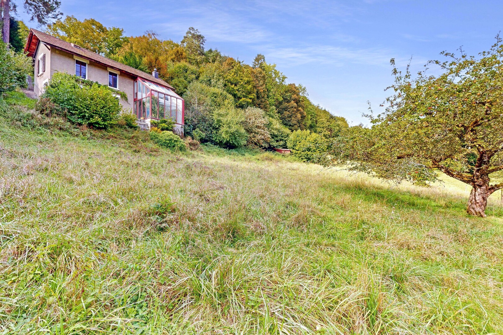 jardin avec property visible, day time, serre, structure extérieure, et vue sur la forêt