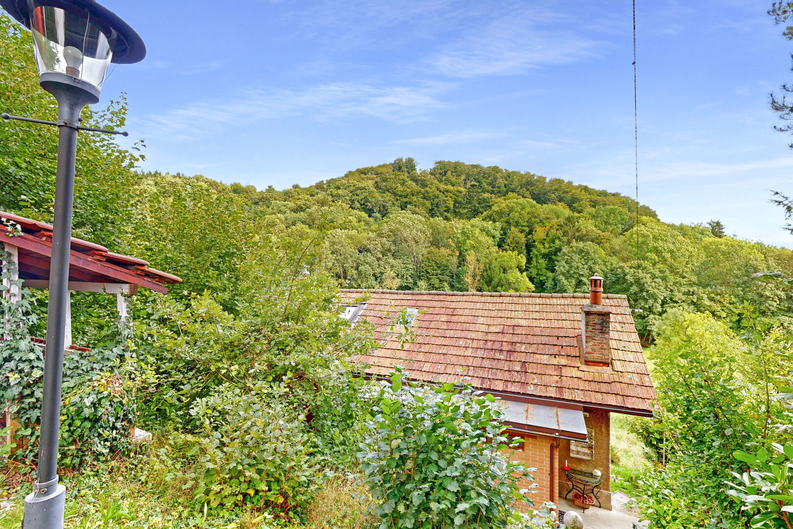 façade avec forest view, vue sur la forêt, cheminée, bardage en brique, et day time