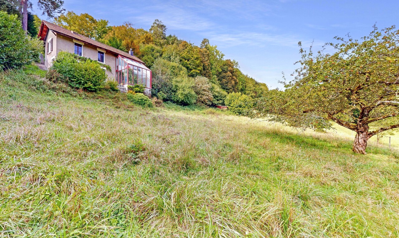 jardin avec property visible, day time, serre, structure extérieure, et vue sur la forêt