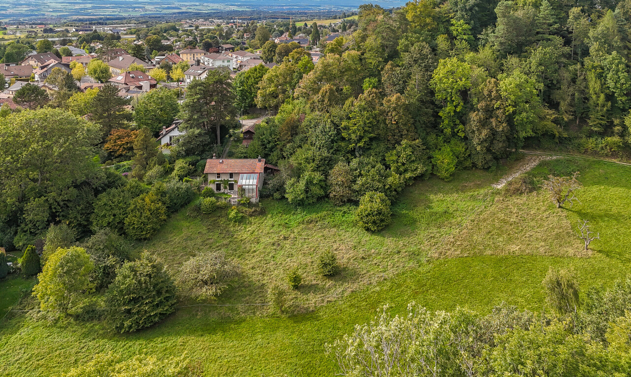 jardin avec aerial view