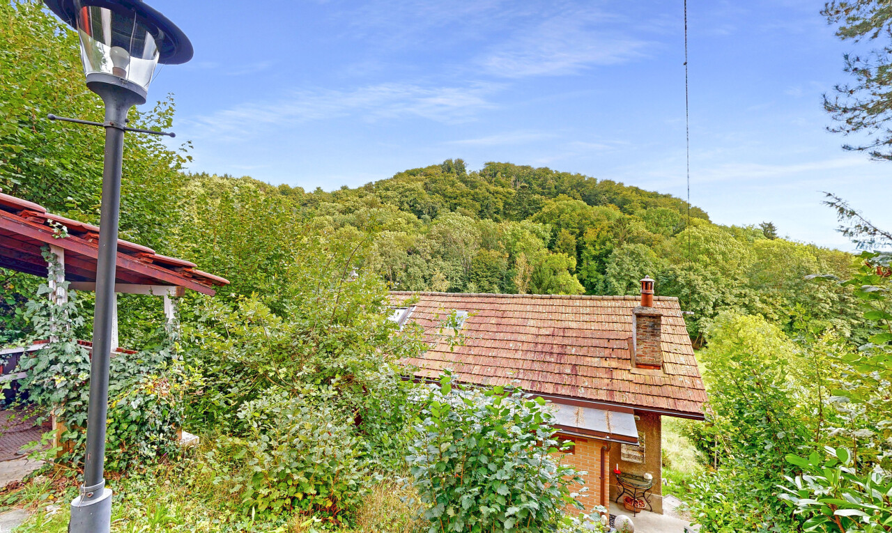 façade avec forest view, vue sur la forêt, cheminée, bardage en brique, et day time