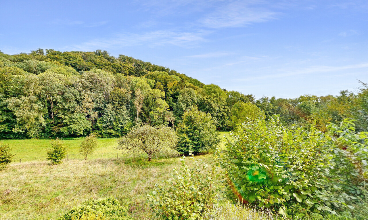 vue sur la montagne avec day time, forest view, et vue sur la forêt