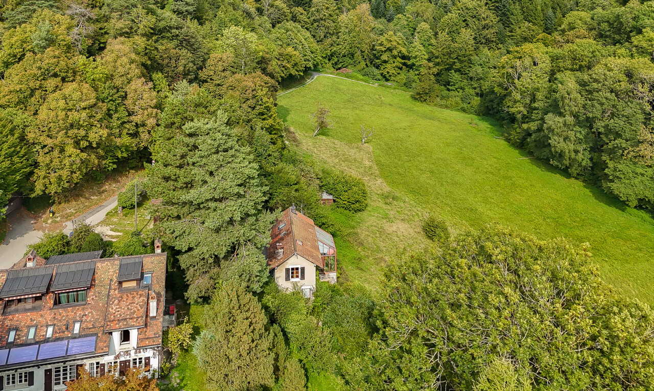 façade avec aerial view, vue sur la forêt, forest view, et cheminée