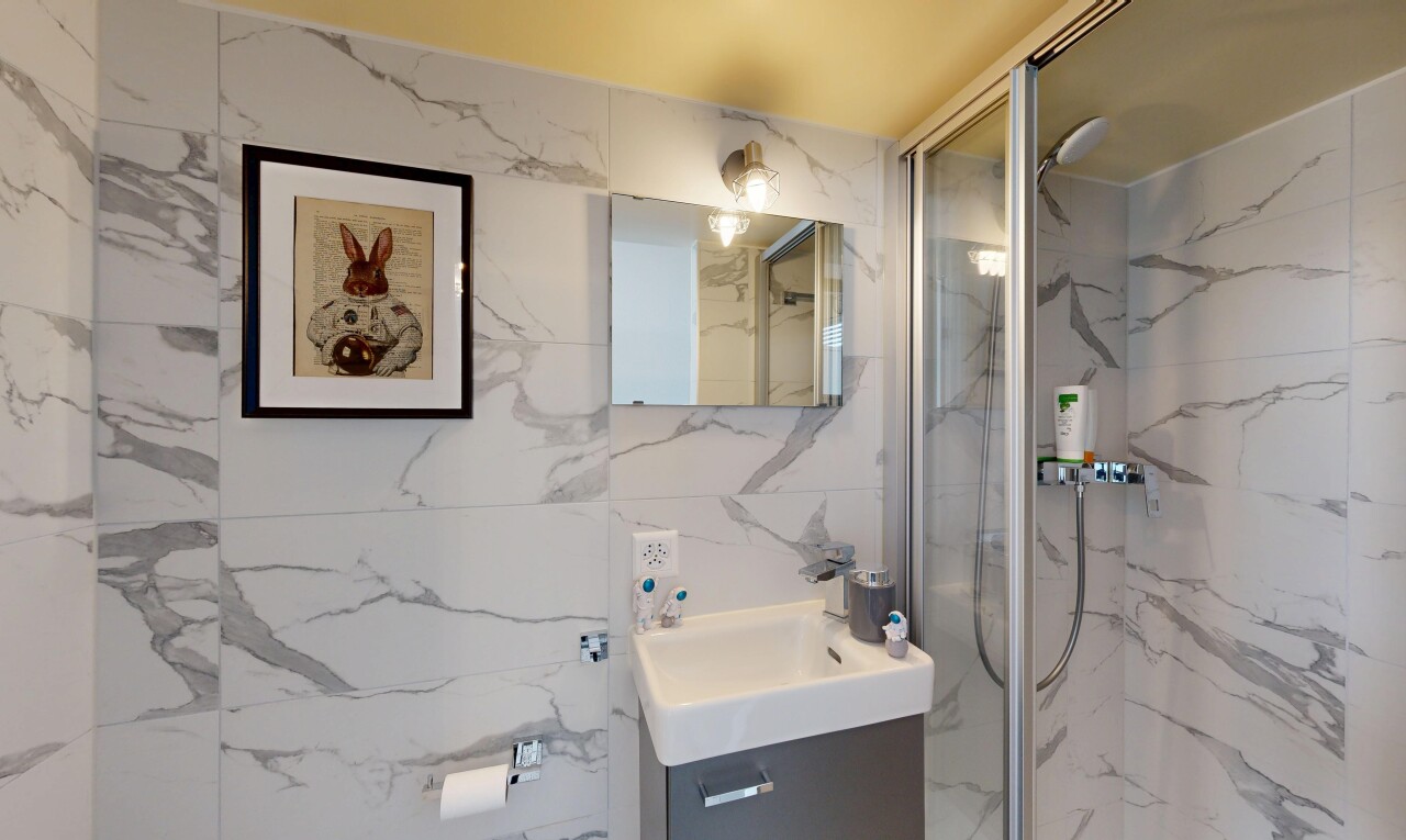 salle de bains avec lavabo (ou coiffeuse selon le contexte), miroir, douche, salle de bain complète, et évier