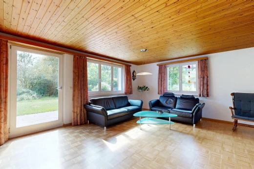 wohnzimmer mit außenzugang, holzdecke, wood ceiling, gipskartonwand, und drywall