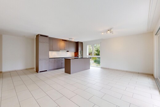 küche mit deckenbeleuchtung, opens to living area, öffnet sich zum wohnraum, dark countertops, und arbeitsplatten