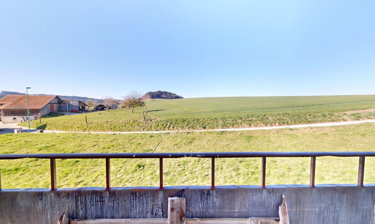 balcon avec vue rurale, rural view, day time, animal farm, et animal