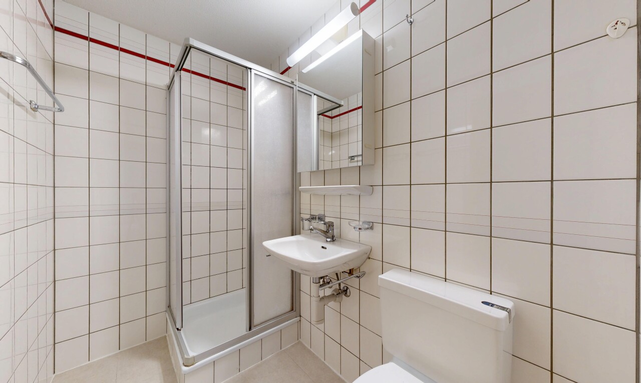 salle de bains avec mur en carrelage, tile wall, miroir, douche, et salle de bain complète