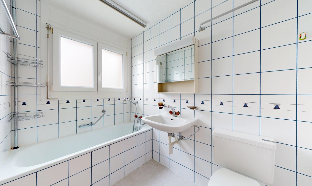 salle de bains avec salle de bain complète, mur en carrelage, tile wall, toilette, et miroir
