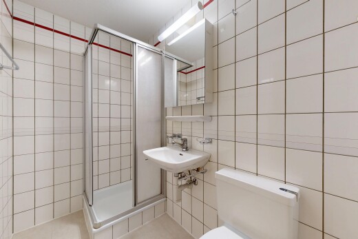 salle de bains avec mur en carrelage, tile wall, miroir, douche, et salle de bain complète