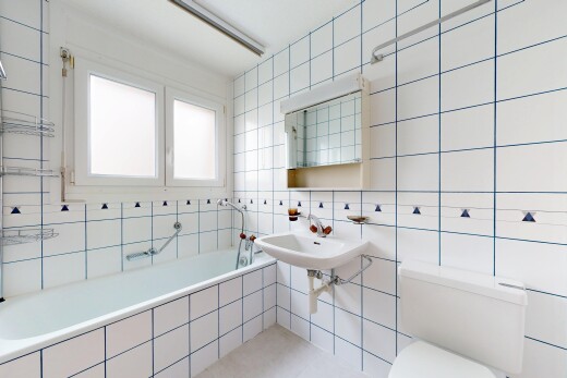 salle de bains avec salle de bain complète, mur en carrelage, tile wall, toilette, et miroir