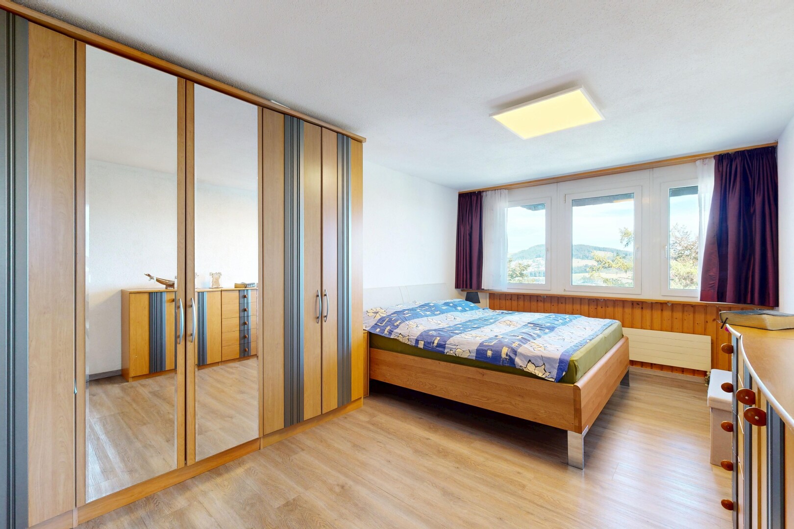 room with light wood-type flooring and a closet
