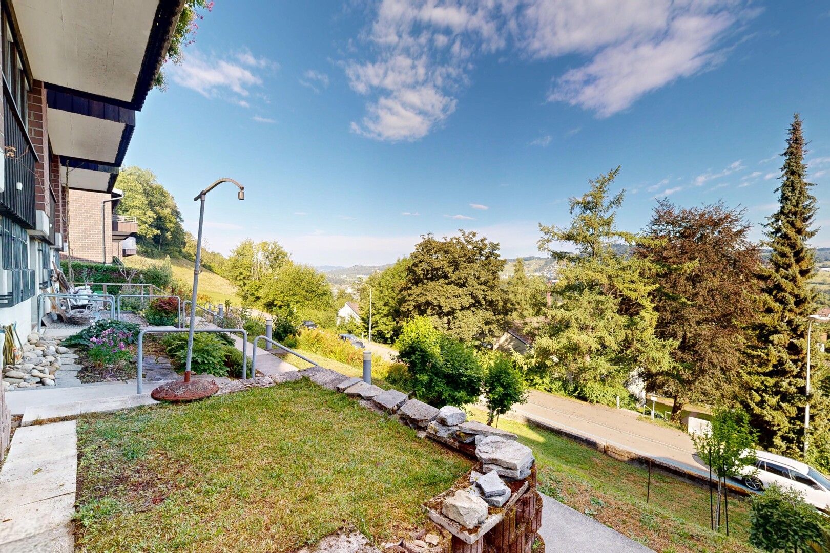 garden with a lawn