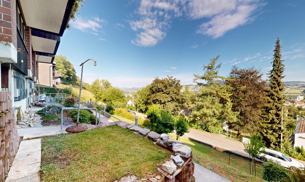 garden with a lawn