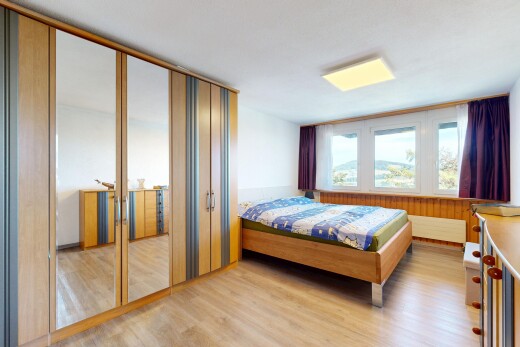 room with light wood-type flooring and a closet