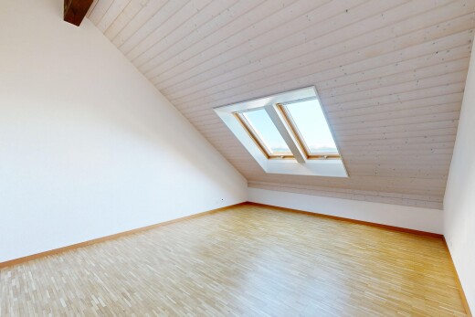 leerer raum mit vaulted ceiling, dachschräge, dachfenster, inside property, und natural light