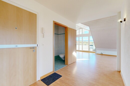 leerer raum mit wood finish floor, holzfußboden, day time, inside property, und natural light