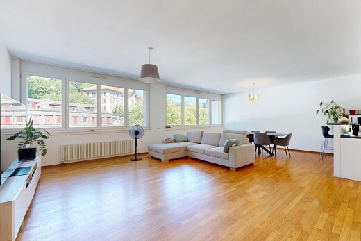 living / dining room with light wood-style floors and radiator heating unit