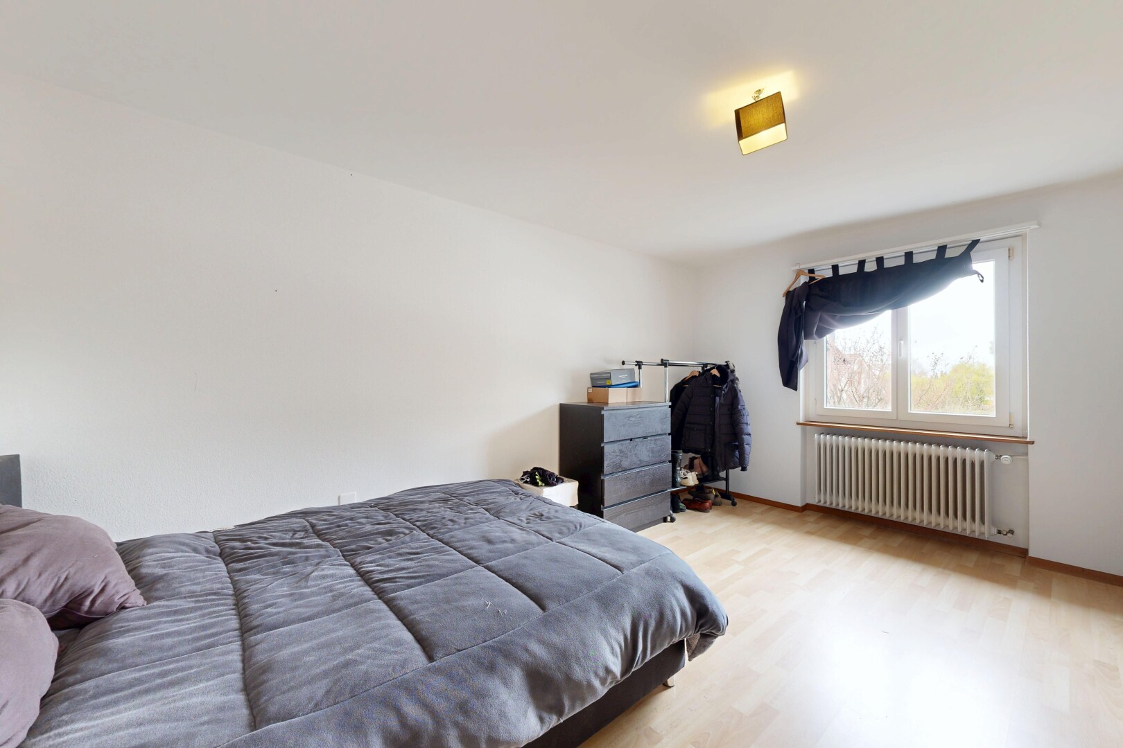 room / bedroom with radiator and light wood-type flooring