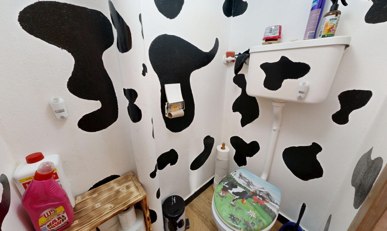 salle de bains avec toilette, sol en finition bois, wood finish floor, cloison sèche, et drywall