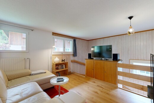 wohnzimmer mit natürliches licht, natural light, holzfußboden, wood finish floor, und fernseher