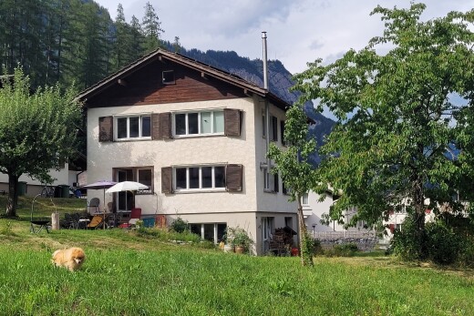 außenansicht mit animal pet, animal, stuckverkleidung, und rasen