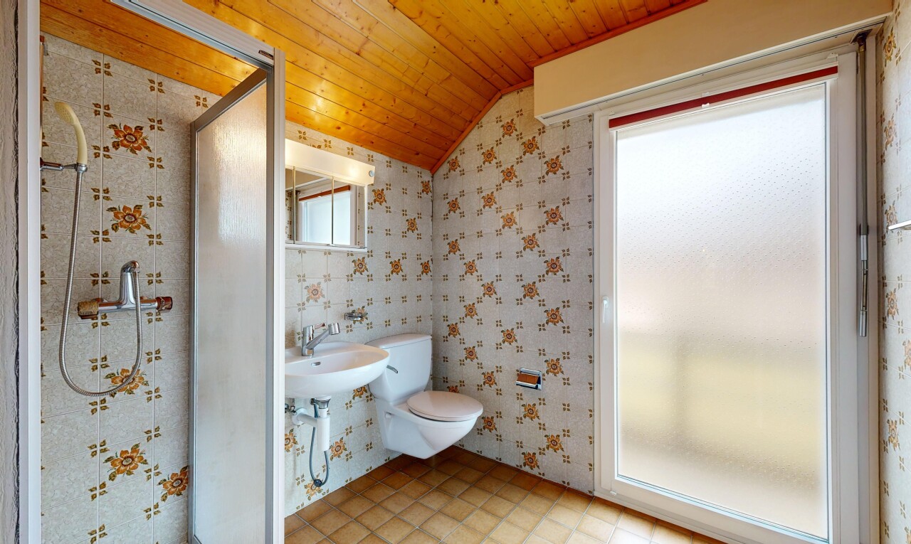 salle de bains avec toilette, vaulted ceiling, plafond voûté, miroir, et douche
