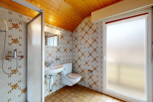 salle de bains avec toilette, vaulted ceiling, plafond voûté, miroir, et douche