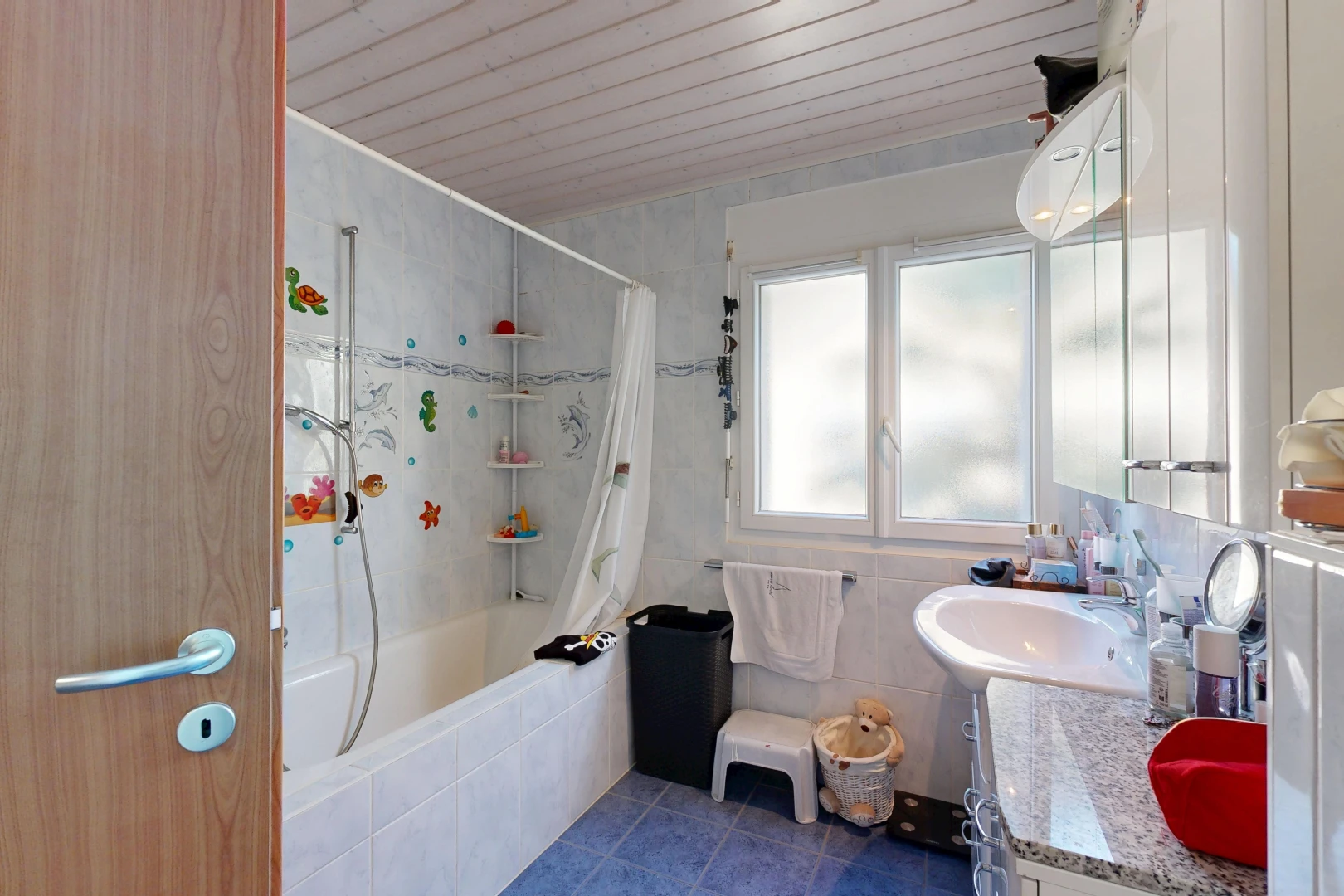 salle de bains avec douche-bain combinés, miroir, lavabo (ou coiffeuse selon le contexte), salle de bain complète, et évier