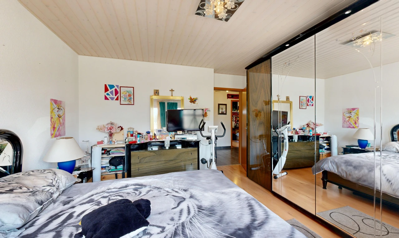 chambre avec drywall, cloison sèche, télévision, placard, et wood finish floor