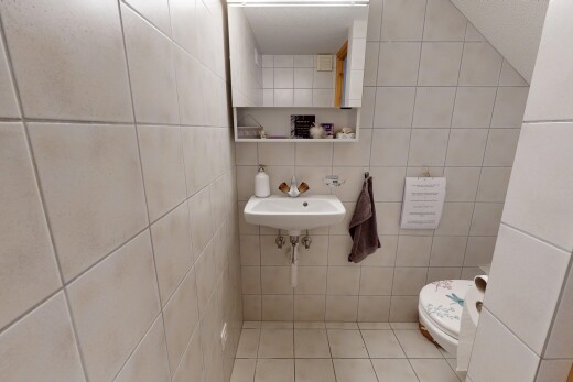 bad mit spiegel, fliesenwand, tile wall, gäste-wc, und toilette