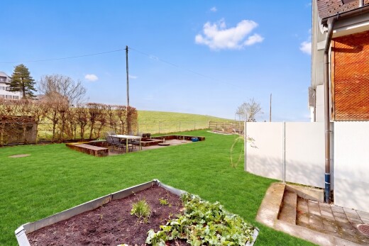 jardin avec clôture, from property, pelouse, power lines view, et day time
